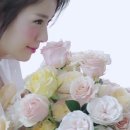 프레쉬모먼트
