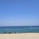 위드랜드 이미지