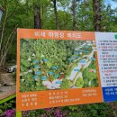 취미부자1st:캠핑/모녀캠핑/완주 비채캠핑장 이용 후기