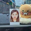 강씨네사진관 이미지