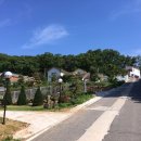 불은면사무소 이미지