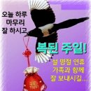 설 연휴를 맞이하여 더 좋은 미래 더 행복한 삶을 시작하는 한해가 이미지