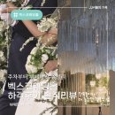 화이스시 | W웨딩 벡스코웨딩홀 하객후기｜단독홀이라 더 좋았던 부산 결혼식장, 그리너리 화이트홀 (+주차정보)