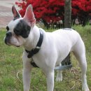 똘이농장 이미지