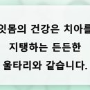 서울뿌리깊은치과의원 네이버블로그