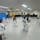 용인대석사명품태권도 이미지