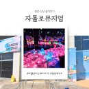 커튼뮤지엄 | 여행 일지) 제주 중문 신상 핫플 ✨ 자롤로뮤지엄 솔직 후기 | 안경 없이 즐기는 3D 미디어아트의 신세계...
