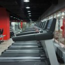 빠나따스포츠클럽 이미지