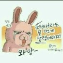 사또네