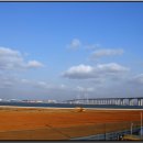 새 천년의 문 이미지