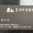 조아동물병원 이미지