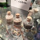 후즈밥 네이버블로그