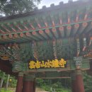 신라다실 | 남양주 가볼만한곳 '수종사' 한강이 내려다보이는 절경과 500년 은행나무가 반겨주는 힐링 후기 🌲⛰️