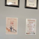 예뻐질 : 개 이미지