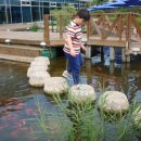 인삼랜드 휴게소(하) 이미지