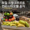 시티호텔 | 독일 프랑크푸르트 중앙역 가성비 숙소 인터시티호텔 조식 후기