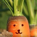 센트럴마트