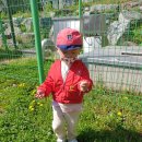 태인체육공원 이미지