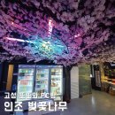 또또와 PC방 | 인조 벚꽃나무, 조화 벚나무 설치! 고성 또또와 PC방 인테리어