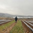 수우농장 이미지