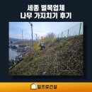 세종 벌목업체 나무 가지치기 전지작업 후기