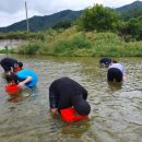 용인대 현대 태권도 이미지