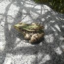 사천초등학교 이미지