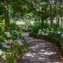 카멜리아힐 이미지