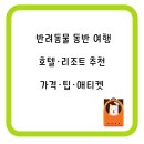 오션동물병원 | 🐾 반려동물 동반 여행 호텔·리조트 추천 + 가격·팁·애티켓
