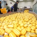 성주참외원예농협 이미지