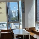 앵무새카페플레이버드 - 무안군 대죽동로16번길 22 | 인천 서창동 아이랑 가볼만한 곳, 앵무새카페 플레이버드🦜💚