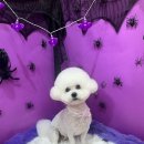 베베그루밍 이미지