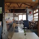 카페닐스 이미지