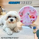 이원약품 | 🦟여름철 벌레퇴치, 반려견과 함께라면 스카이원 미니 포충기🐾