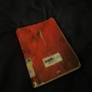 [취향존중] 홍학의 자리_정해연 책 후기 📕