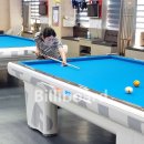 에이스당구클럽 이미지