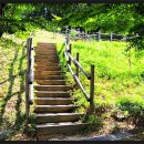 낙지한마리수제비 이미지