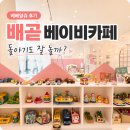 앙쥬 | 베베앙쥬 베이비카페 배곧 후기 | 시흥 아기랑 갈만한곳 실내 추천