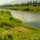 청도천2 이미지