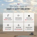 요르단여행) 성서의 땅, 베타니·요르단강·느보산(모세의지팡이)·마다바까지