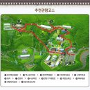 동산희귀약초 | 산청동의보감촌 한방테마파크 다녀 왔습니다