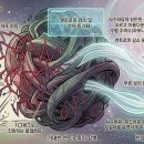 제5장 이미지