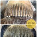 도트앤플로우 이미지