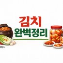 이해용과학 | 김치 완벽 정리(역사, 김치의 종류, 김치의 과학, 영양, 다양성, 김장, 요리법 등)
