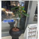 헤온헤어 네이버블로그