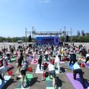 힐링요가 A팀 내손안에서울