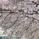 프롬디(FROM:D) 이미지