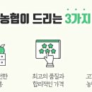 영광농수산물