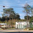 [부동산 임장 후기-1탄] 성남시 수정구 삼정 그린뷰 다녀왔습니다~