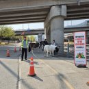 대덕승마장 이미지